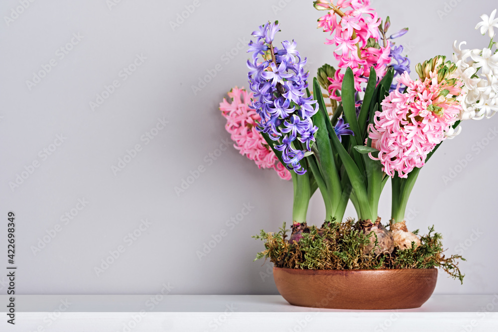 Bouquet of hyacinths in bowl with moss on mantelpiece. Spring and Easter natural interior decor, copy space