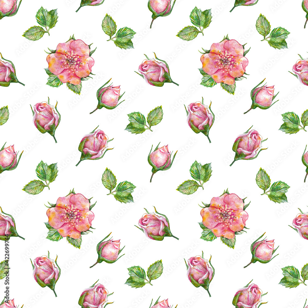 Watercolor seamless floral pattern on white background. Pink rose flowers and buds with green leaves on white background. Watercolor flowers pattern. Seamless design for print, textile, fabric, paper