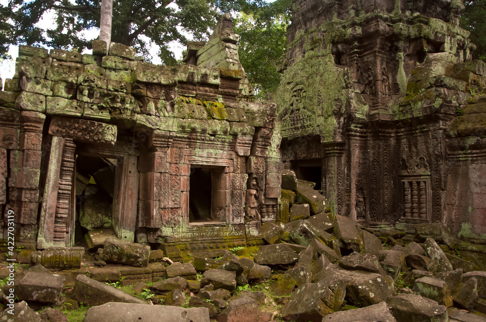 Abandoned ruins of Ta Prohm Temple in the jungle of Cambodia, Angkor Wat, Khmer culture, Siem Reap