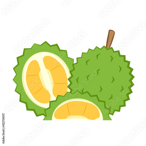 cartoon vector. Durian on white background.