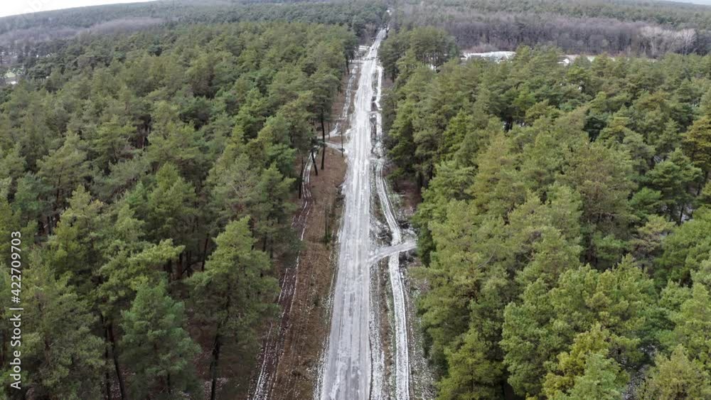 Flying over the pine forest with green pine crowns and dirty Road. Flying over the road among the green coniferous forest - the tops of pines on a frosty day Flying over the pine forest with green pine crowns and dirty Road. Flying over the road among the green coniferous forest - the tops of pines on a frosty day