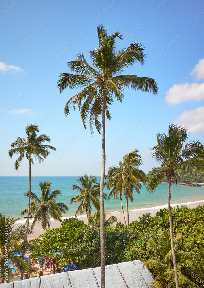 Tropical beach on a sunny summer day.