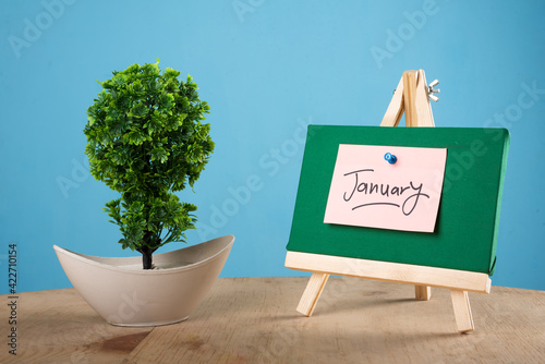 January written on a sticky note on a mini green notice board with a plant with blue background.