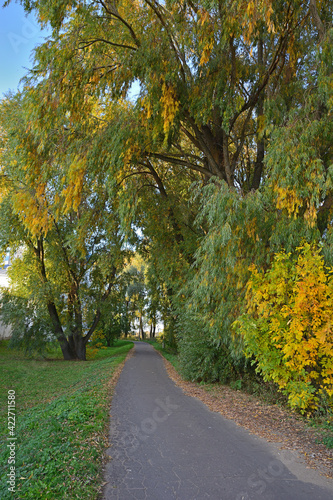 Autumn alley along a path with trees with colorful foliage 