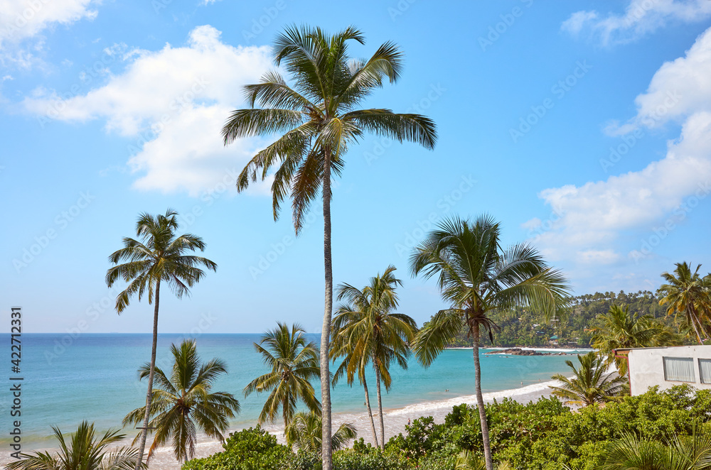 Tropical beach on a sunny summer day.