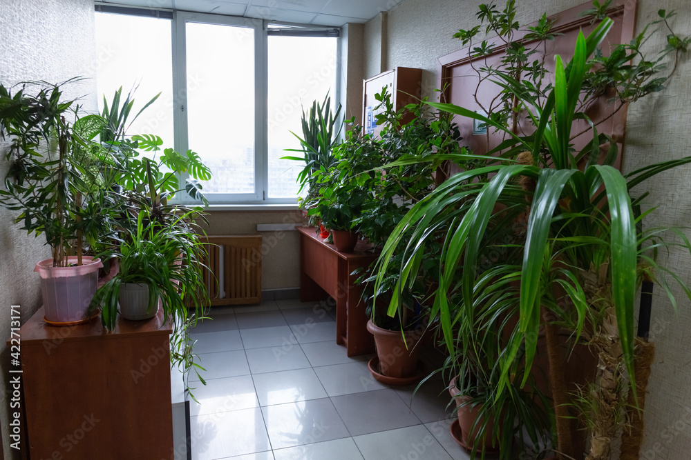Fototapeta premium Green spaces in the lobby of the modern office