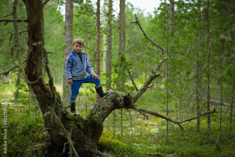 a 7-9-year-old boy in a blue denim jacket walks in the summer forest, selective focus