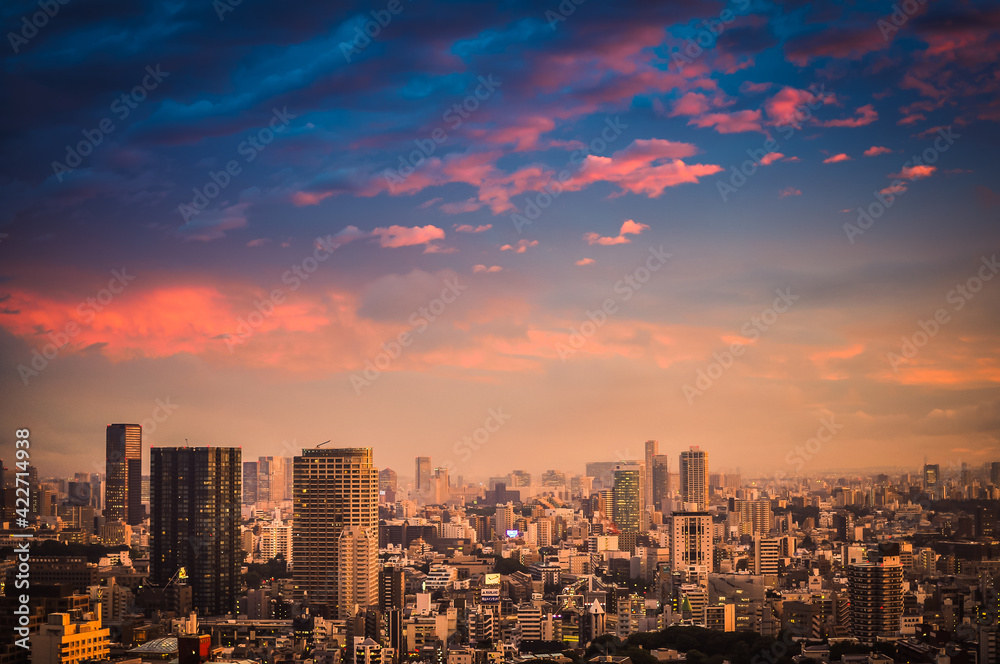 Aerial view of Tokyo cityscape at blue hour, at dusk. Birds eye view of Tokyo, Japan