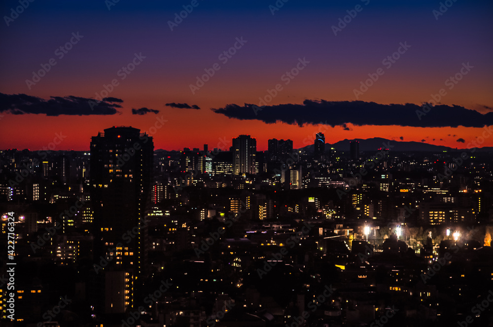 City skyline in dusk, beautiful colorful sky horizon in Tokyo, Japan