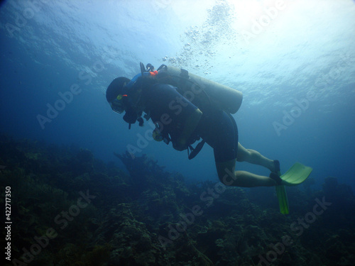  scuba diver, coral reef , caribbean sea , Venezuela 