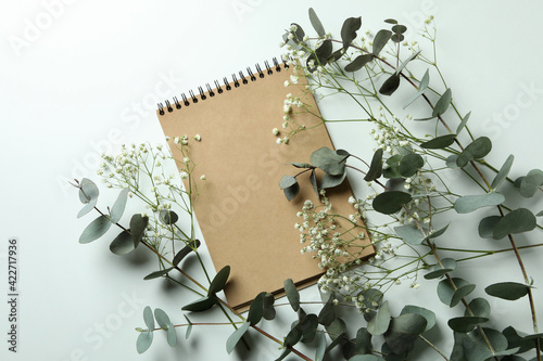 Eucalyptus, gypsophila and notebook on white background