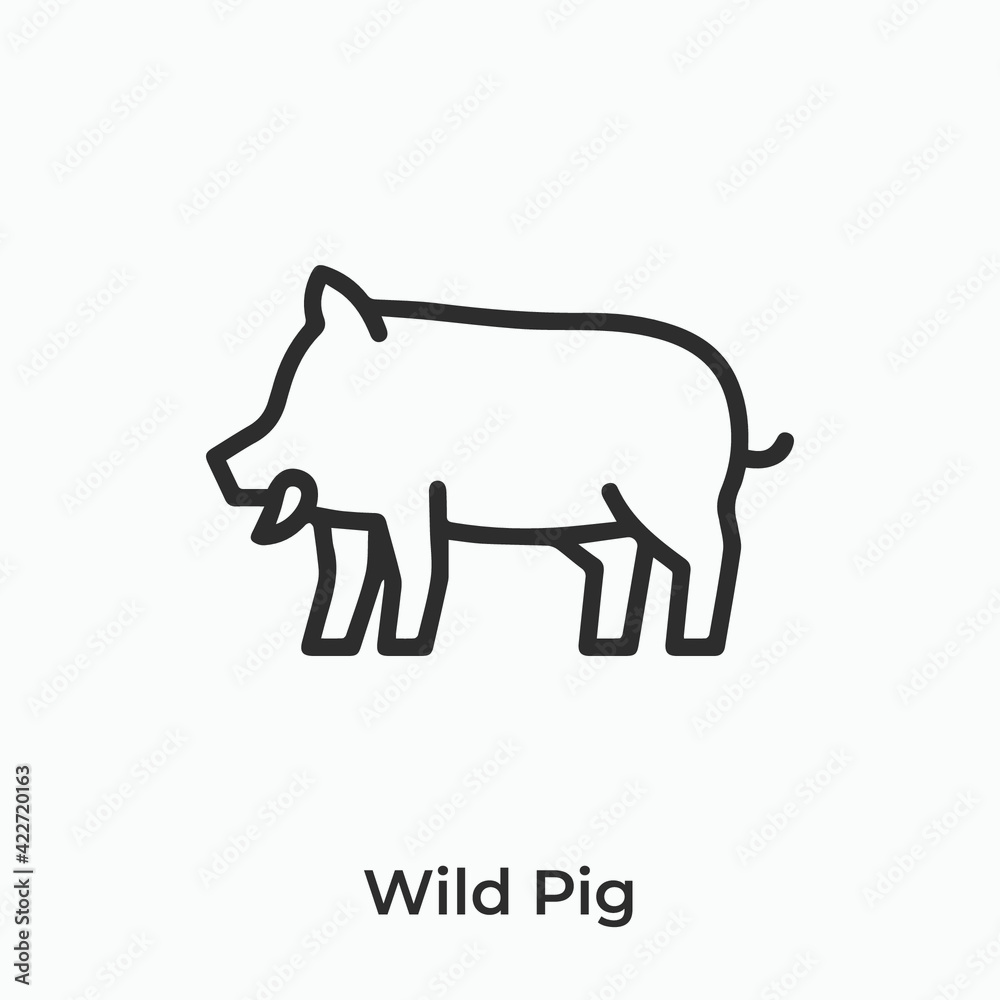 wild pig icon vector sign symbol