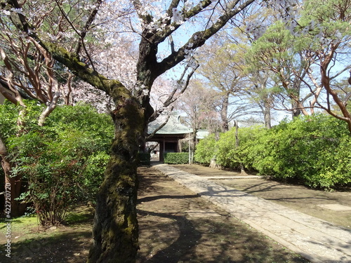 妙福寺