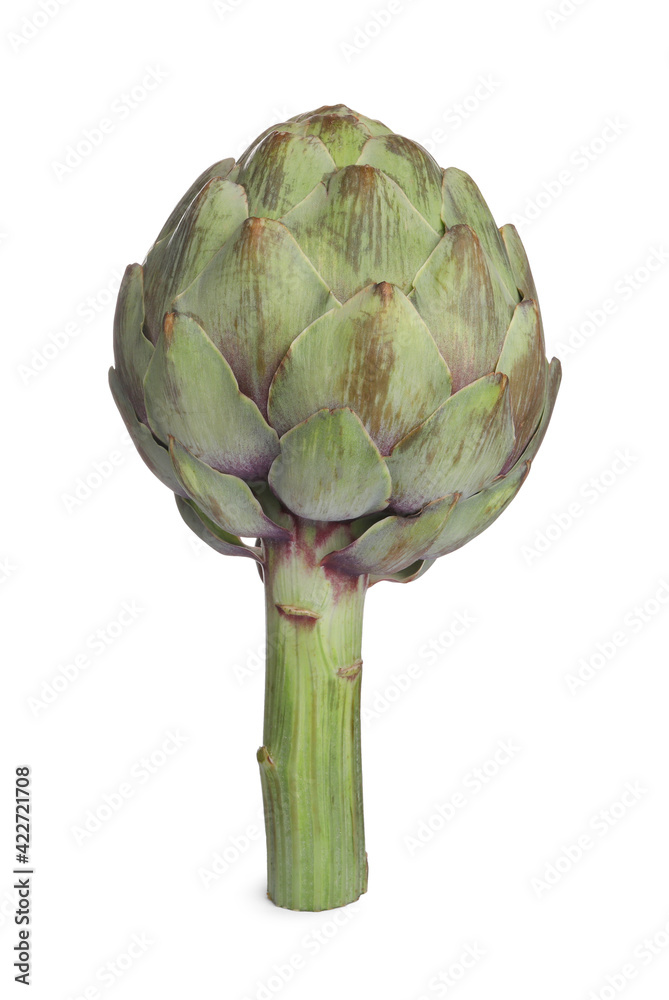 Obraz premium Whole fresh raw artichoke isolated on white