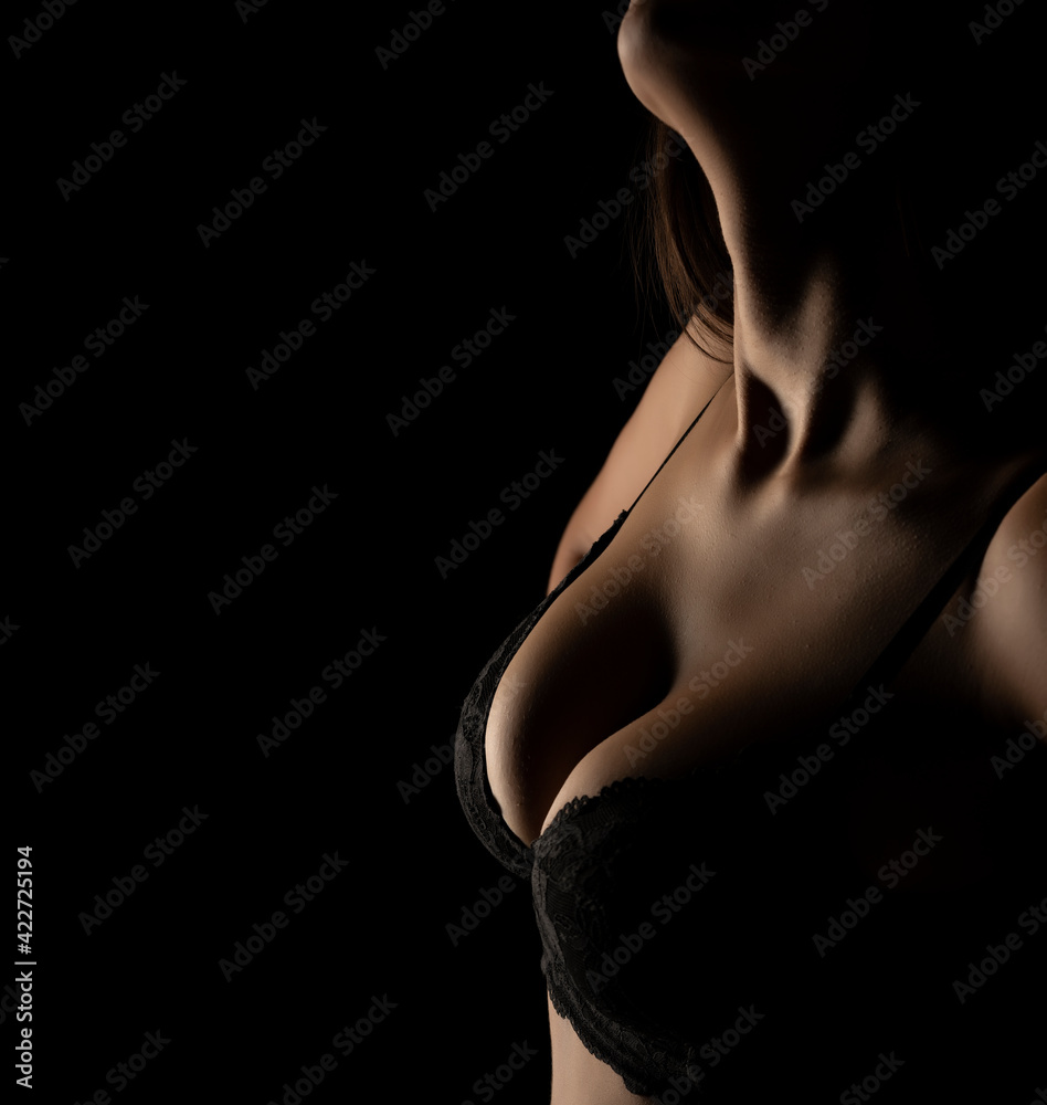 Naklejka premium Silhouette of a female brests in bra