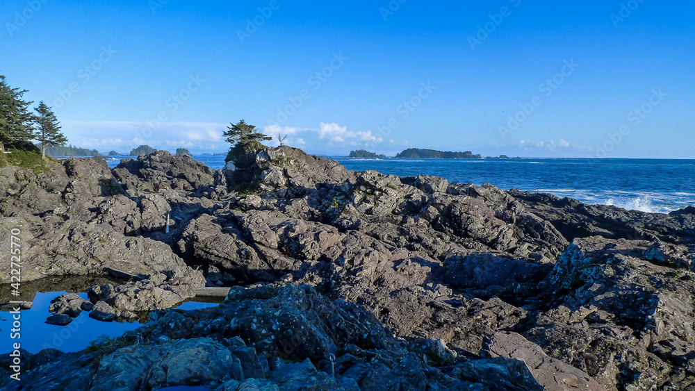 Beach and sea, Wild Pacific Trail, Vancouver Island, Ucluelet,  BC, Canada