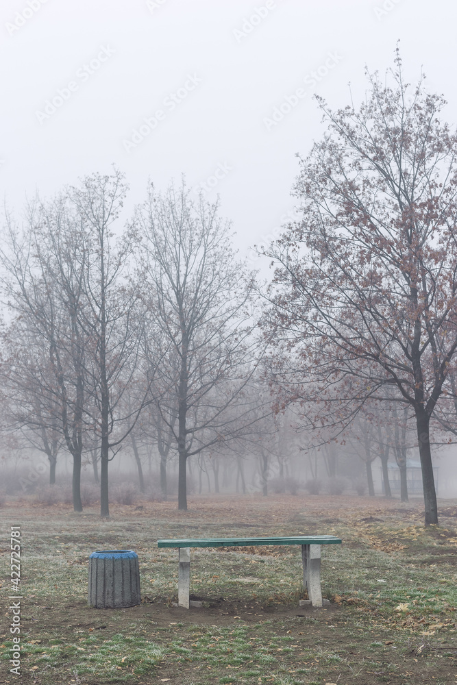 A bench in the park on a foggy autumn morning
