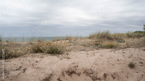 Dans les dunes de l'île d'Oléron