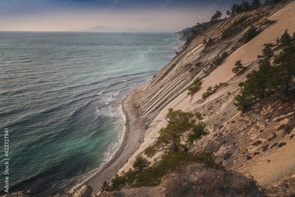 Beautiful sea landscape, pine trees grow on the rocky coast of the Black Sea coast