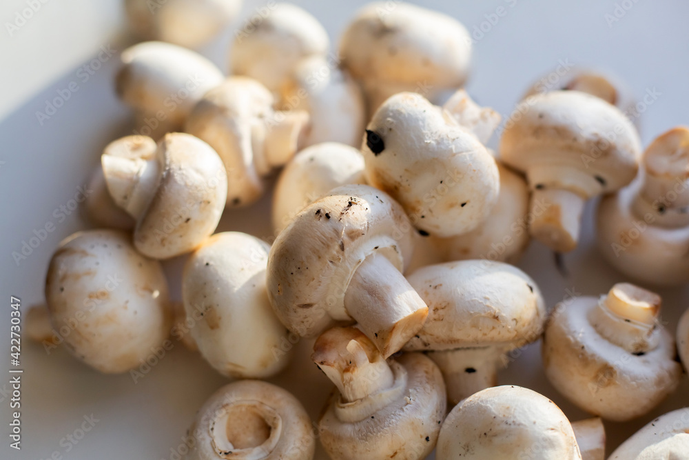 Champignon mushroom isolated on white background.
