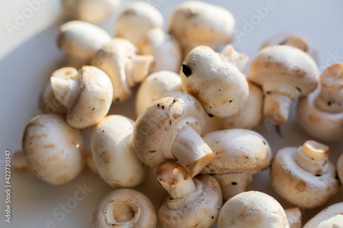 Champignon mushroom isolated on white background. 