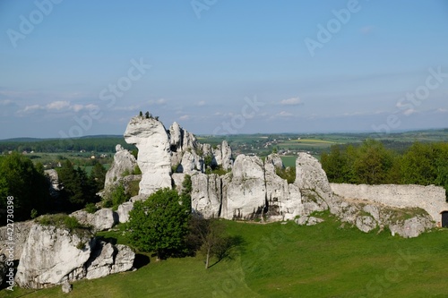 Unusual rocks called the Camel at Ogrodzieniec castle on Eagles Nests trail in the Jura region, Krakowsko-Czestochowska Upland, Poland. 