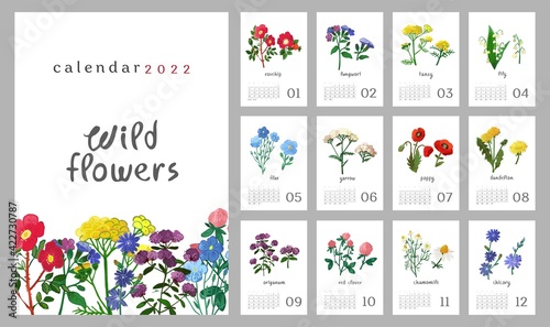 Floral wall vertical calendar for 2022, the week starts on Sunday. Template A4 format calendar set of month with wild flowers, meadow herbs, plants. Botanical posters. Cartoon vector illustration.