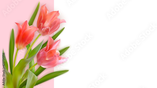 Fototapeta Naklejka Na Ścianę i Meble -  Bouquet of realistic tulips on a pink background. Composition of pink tulips buds. Template for invitation card, banner, poster with spring flowers. Vector illustration