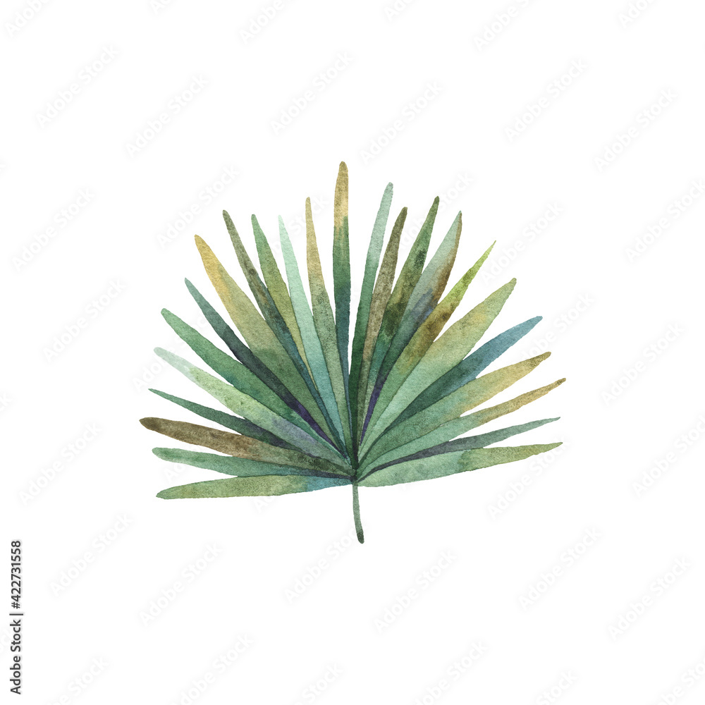 Fototapeta premium tropical palm leaf branch isolated on white background, cute watercolor childrens illustration