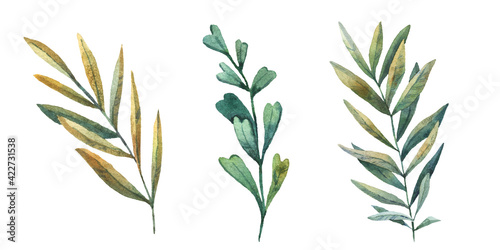 tropical leafs, branchs on white background, cute watercolor childrens illustration
