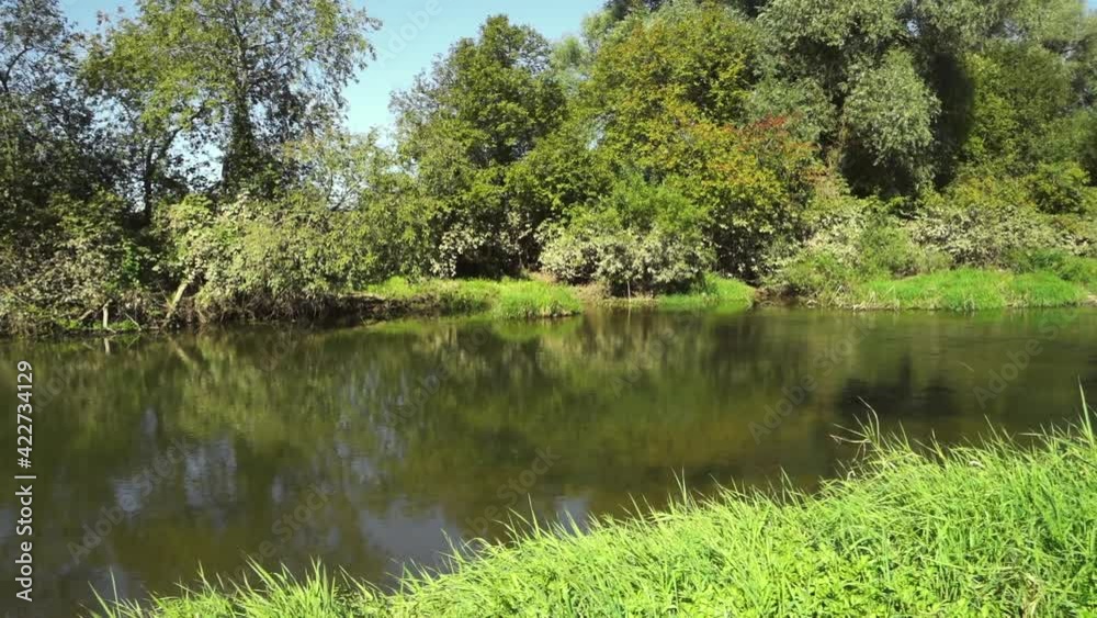 Walking along the river bank in the grass. Walking along the river bank in the grass.