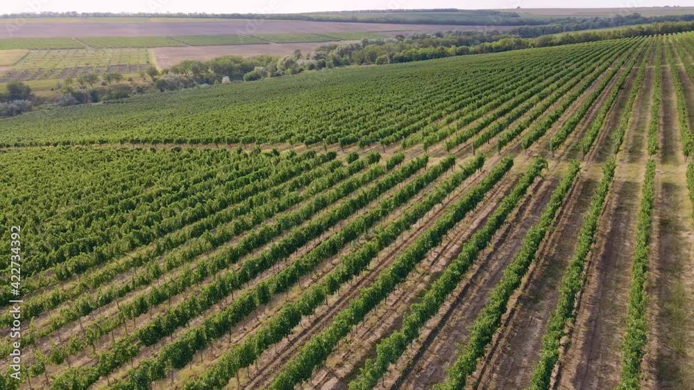 Amazing nature view in a sunny day taking video with drone off a green field and big large river. Amazing nature view in a sunny day taking video with drone off a green field and big large river.