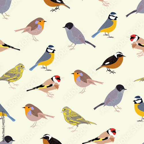 seamless pattern with passerine birds © NumediaPhoto
