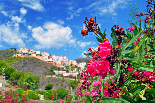 Torrox Costa Del Sol Andalusia Spain photo