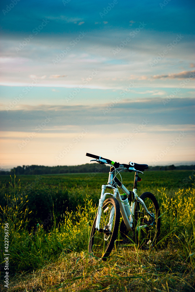 Mountain bike stands in the rural green field at summer evening. Cycling adventure and summer leisure time.