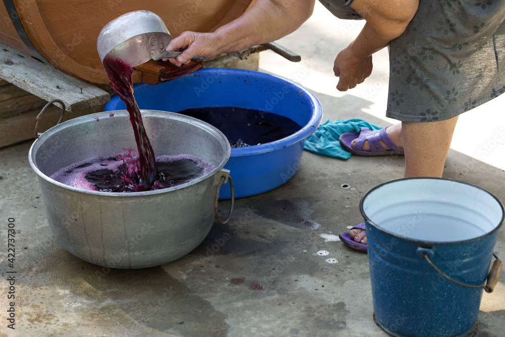 The winemaker pours grape juice for transportation into barrels. The winemaker pours grape juice for transportation into barrels.