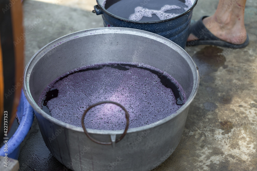 The winemaker pours grape juice for transportation into barrels. The winemaker pours grape juice for transportation into barrels.