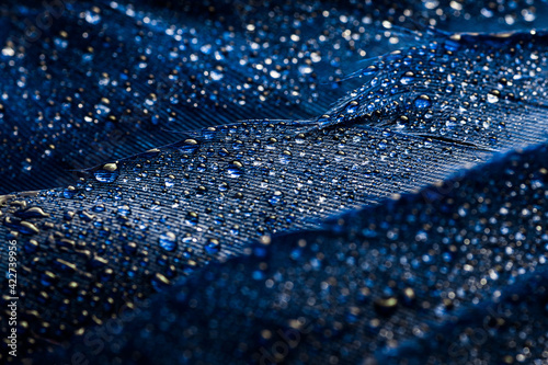 Abstract macro dark blue background with drops on feathers