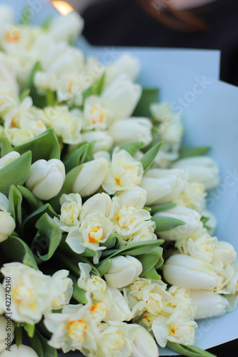 Flower bouquet of white tulip and narcissus. Flowers for valentine s day or women s day. Spring bouquet with blue wrap.
