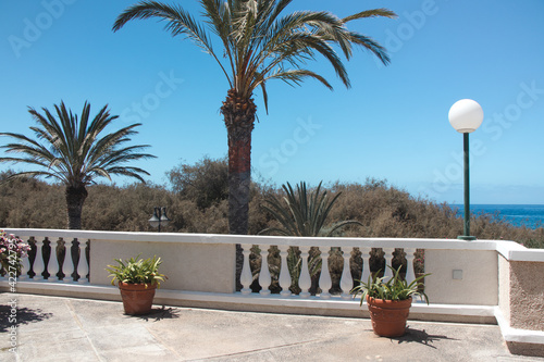 Tropical view of a terrace with palm trees