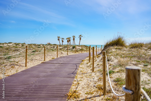 Wooden path into a beach with dunes and palm trees photo