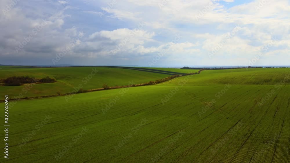 Aerial view of bright green agricultural field in early spring.
Aerial view of bright green agricultural field in early spring.