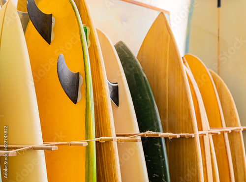 retro vintage surfboards lined up in a local surf shop
