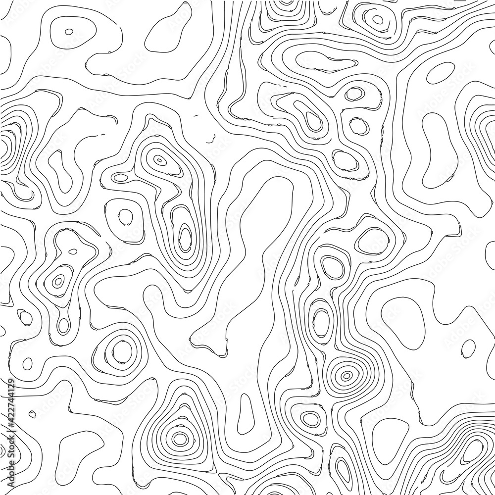 Grid map.Topographic map background. Abstract vector illustration.