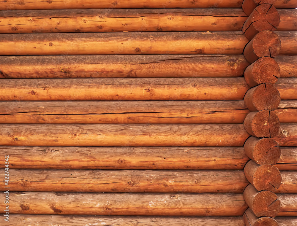 A wall of the pine round timbers. Wooden texture. A wall of the pine round timbers. Wooden texture.
