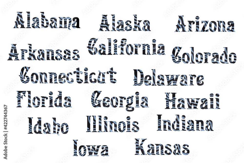 Obraz premium Political divisions of the US. Patriotic clip art in denim safari zebra print. States list. Part 1