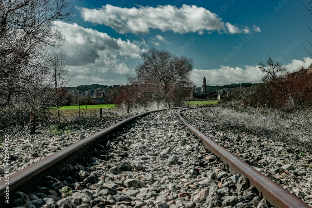 Fototapeta premium Train tracks in landscape, with trees and plants around
