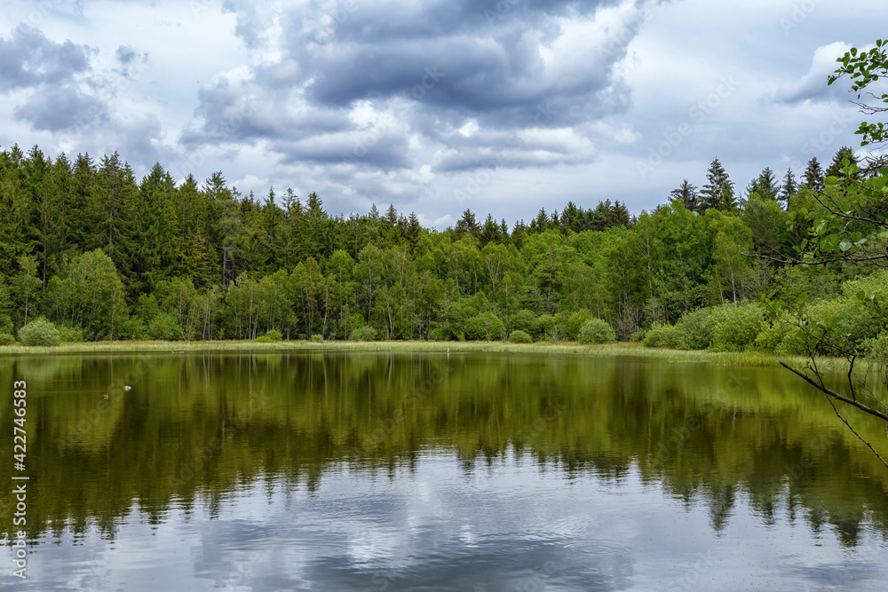 forest and dramatic storm clouds reflecting in a lake