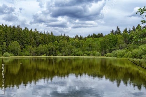 forest and dramatic storm clouds reflecting in a lake