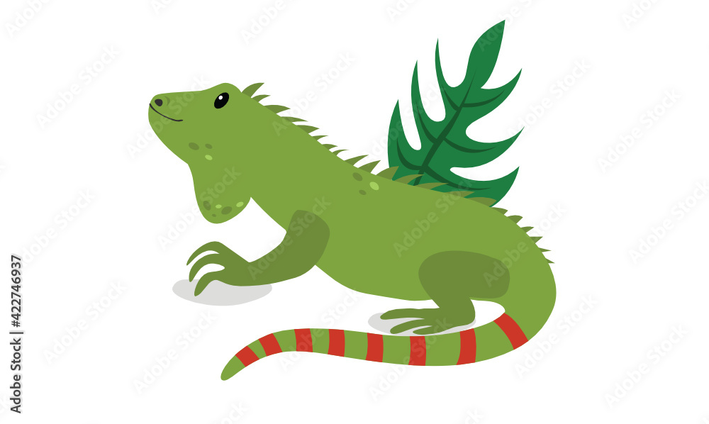 Fototapeta premium iguana